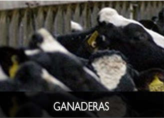 apl-ganaderas